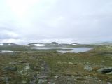 DSCF2078
