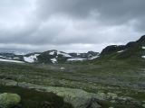 DSCF2277