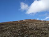 DSCF0629