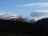 DSCF0631