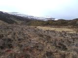 DSCF0656