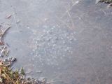 DSCF0665