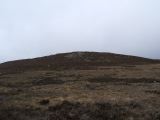 DSCF0666
