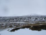 DSCF0520