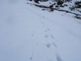 DSCF0521