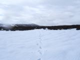 DSCF0523
