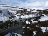 DSCF0531