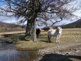 DSCF0582